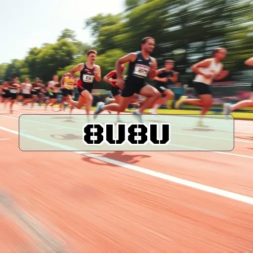 8u8u Vestir